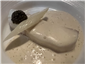 turbot